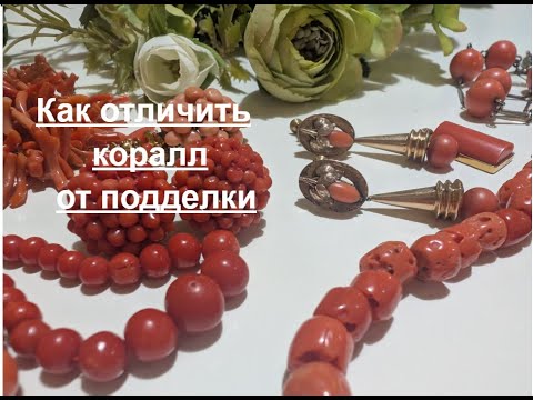 Видео: Как отличить коралл от подделки