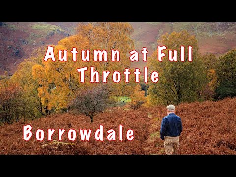 Видео: Осень на полном ходу, Борроудейл — пейзажная фотография