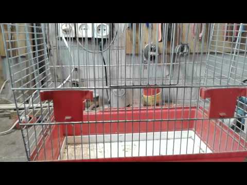 Видео: Ремонт необычной  клетки  от Темки Птицелова