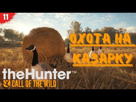 Видео: theHunter Call of the Wild #11 - Охота на Гуся - Переезжаем в новые места!