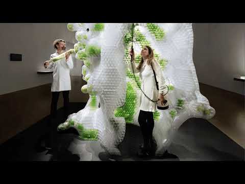 Видео: §13 "Сельское хозяйство. Растениеводство", География 9 класс, Полярная звезда