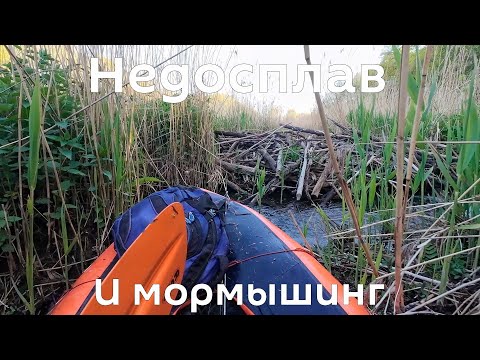 Видео: План г**но. Хотел изучить микроречку, но просчитался. Рыбалка на мормышинг. Калининградская область.