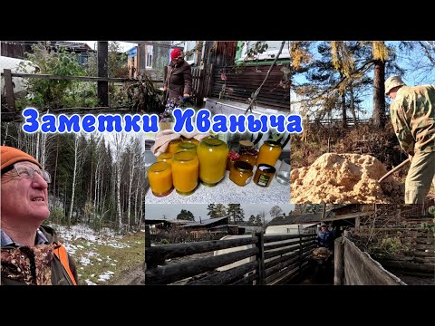 Видео: Домашние дела, сезон охоты открыт