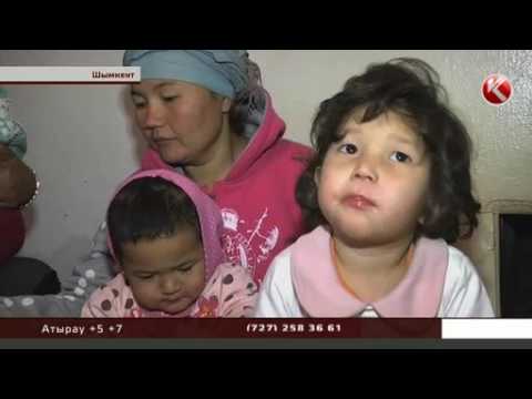 Видео: Шымкент тұрғыны қыз туа бергені үшін келіншегін аяусыз соққыға жығып  үйінен қуып жіберді