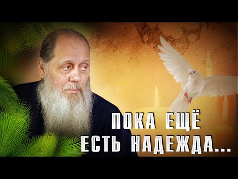 Видео: "Радует, что в наше время еще есть такие люди..."