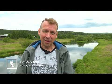 Видео: Если дома не сидится. Битимка 22-06-2023