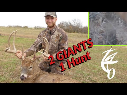 Видео: 170 дюймов, Миссури, публичная земля, гигантский самец