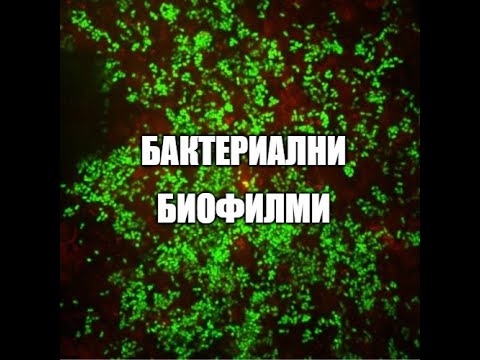 Видео: Бактериални биофилми