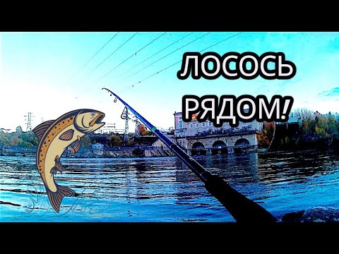 Видео: РЫБАЛКА НА СПИННИНГ. РЕКА НАРОВА УДИВЛЯЕТ.