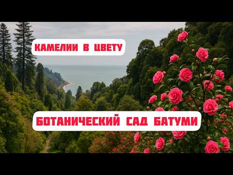 Видео: Самый красивый сад Грузии весной - Ботанический сад Батуми!