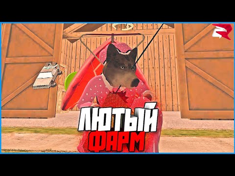 Видео: СРОЧНО ПОКУПАЙТЕ САД! ЛЮТЫЙ ФАРМ 16КК В ЧАС! | #1078 | Родина RP (CRMP)