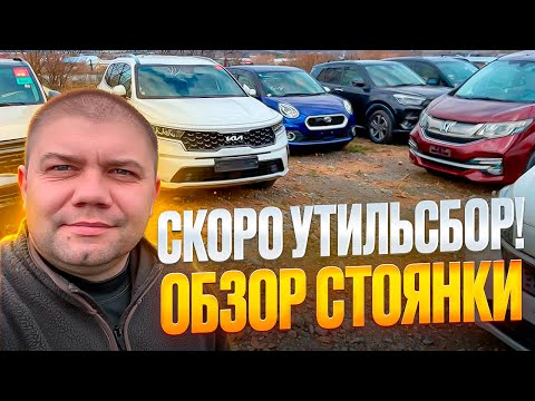 Видео: Утильсбор введут ❗ Что с ценами на автомобили под заказ ❓ Обзор стоянки ❗