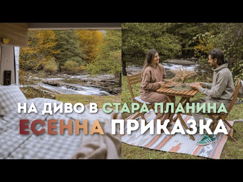 Видео: Есенно Диво Къмпингуване в Балкана 🍁 | Сватбени Спомени и Среща с 20 ДИВИ ПРАСЕТА към хижа Мазалат 🐗