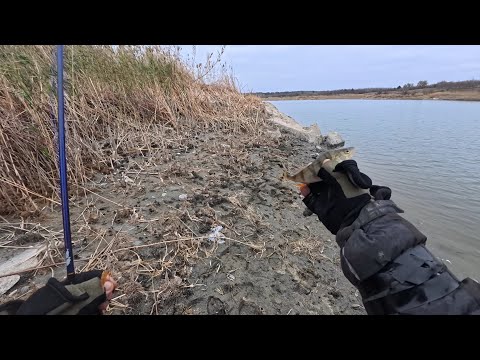 Видео: В поисках окуня на Бердянском водохранилище 10 11 2024