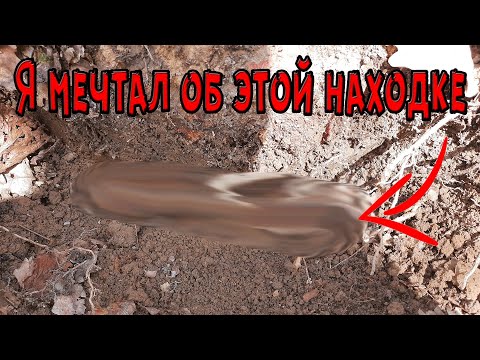 Видео: Поиск древности | Коп по скифам