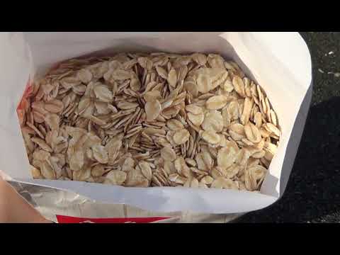 Видео: Чем подкармливать крольчат! Просто, сытно и безопасно.