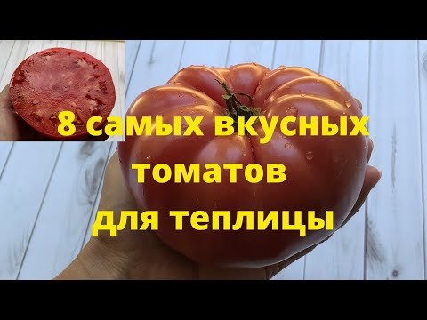 Видео: Самые вкусные томаты, обзор восьми хороших сортов томатов