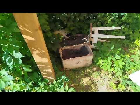 Видео: Грустная история сегодняшнего дня 
