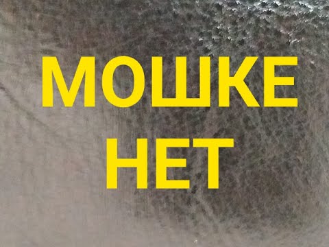 Видео: Как защитить себя от мошки