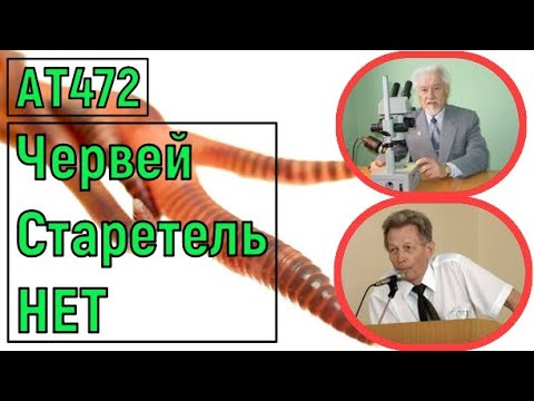 Видео: АТ472 червей Старатель и Калифорнийских НЕТ Игонин А.М. и Титов И.Н. нам врали ат472