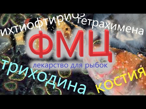 Видео: ФМЦ - нетленная классика. Лекарство для рыбок