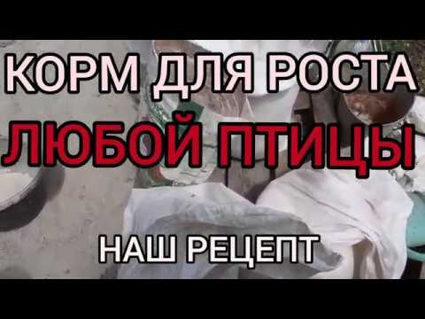 Видео: Как сделать комбикорм для роста любой птицы.РЕЦЕПТ В ОПИСАНИИ.