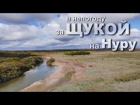 Видео: в НЕПОГОДУ за ЩУКОЙ на Нуру 11.09.2025  #Поход  Четверг день не рыбный #рыбалка