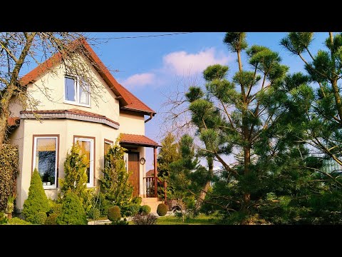 Видео: 🏠Тихая Жизнь Вдали от Города 🌲Уютный Март☀️Будни Садоводов. Рецепт. Судак под Соусом #дом #garden