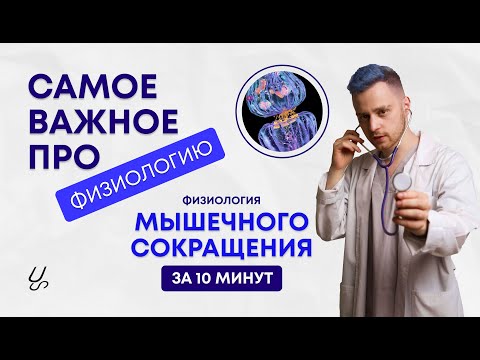 Видео: Физиология мышечного сокращения | Электромеханическое сопряжение