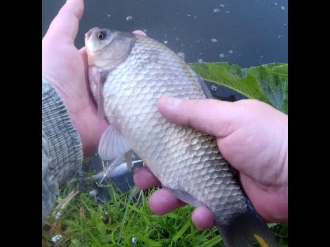 Видео: Мормо нано вжик 2  НАВАХО Мормышка карбон.