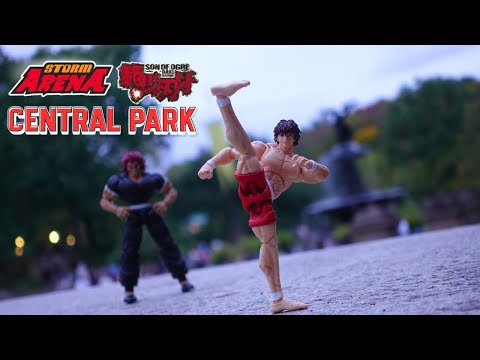 Видео: Арена Шторм, Баки Ханма, Центральный парк Нью-Йорка, обзор природы