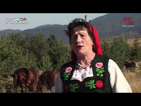 Видео: "Дали знаеш, либе" - Фолклорна формация "Росна китка" с. Говедарци