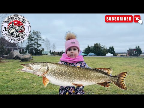 Видео: Путешествие на Остров Муху.Рыбалка, Готовка и Лучшие Семейные Моменты.