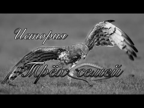 Видео: Белые стихи:(История трёх семей) Орёл, Роза и ужасный змей!