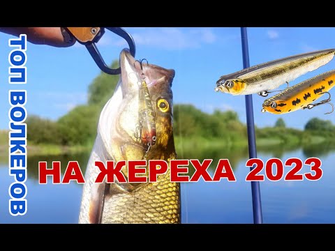 Видео: Топ лучших ВОЛКЕРОВ на Жереха 2023