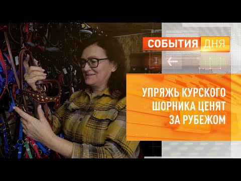 Видео: Упряжь курского шорника ценят за рубежом