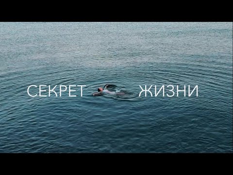 Видео: сила настоящего момента | путешествие по Грузии 2024