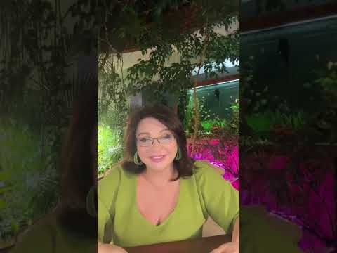 Видео: ПРЯМОЙ ЭФИР: Ложь: причины и последствия - 24.10.2022 | Наталья Толстая