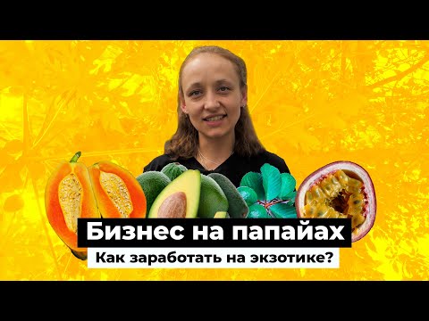 Видео: Лес чудес. В Татарстане выращивают папайи и маракую