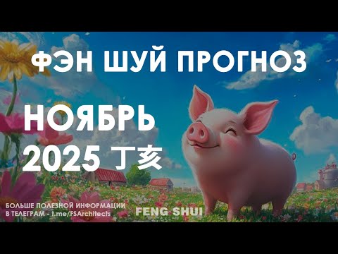 Видео: НОЯБРЬ 2025 — месяц Водной Свиньи (丁亥) Прогноз по ба цзы и фэн-шуй