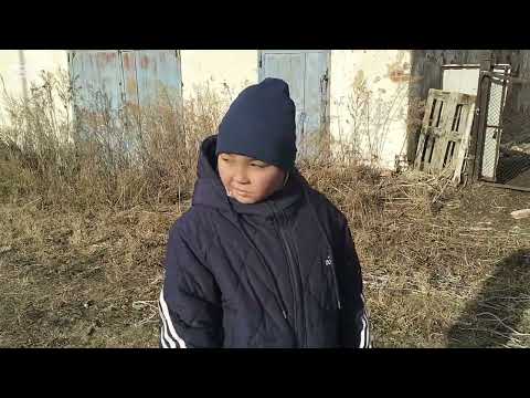 Видео: Жылқыларды айдап келдім 