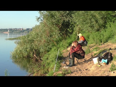 Видео: Рыбалка на Оке! С пацанами на рыбалку на Оку да с утреца!