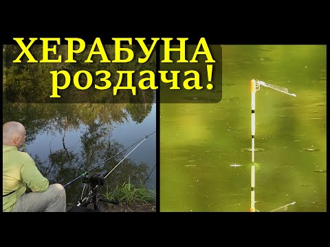 Видео: Херабуна. Бугова роздача, ч 2 #herabuna #streetfishing #floating #タナゴ #ヘラブナ
