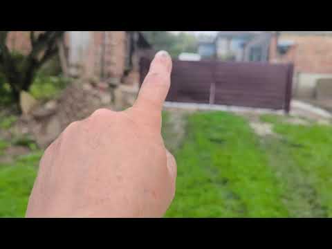 Видео: Відповідаю на запитання про моркву і картоплю