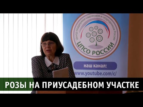 Видео: Розы на приусадебном участке. Лекция