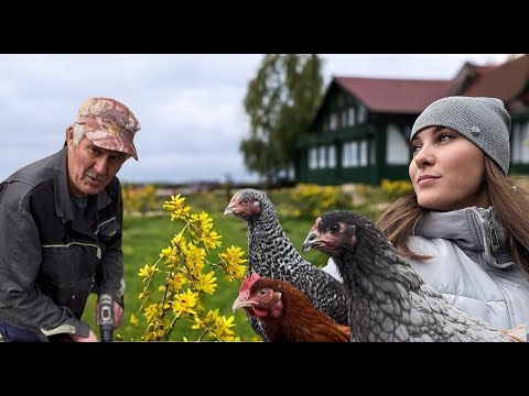 Видео: У НАС ГОСТИ/ГРАНДИОЗНАЯ БЫСТРАЯ ПОСТРОЙКА /ПЕРЕСАДКА МАЛИНЫ/СМоРчКИ по быстрому РЕЦЕПтУ