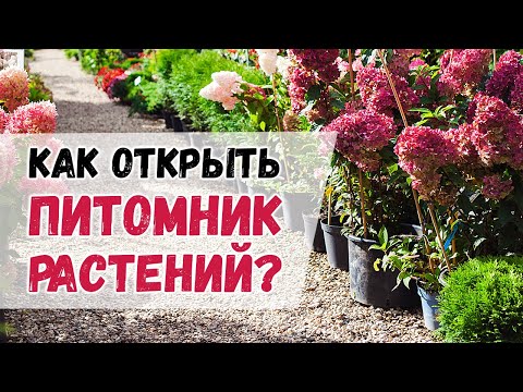 Видео: Как открыть питомник растений с нуля? Как начать бизнес на земле по выращиванию растений