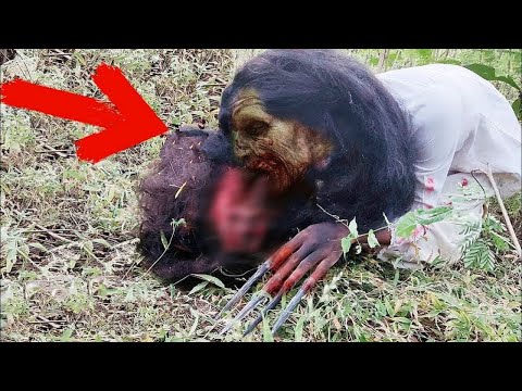 Видео: ЭТО ПРОИСХОДИТ ВЕЗДЕ! Страшные Видео и Страшилки