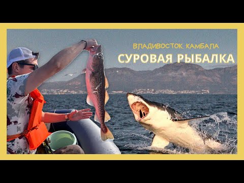 Видео: Владивосток рыбалка на камбалу август 2025
