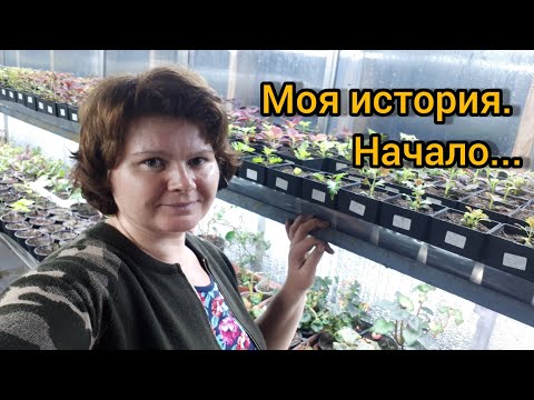 Видео: "Сказочка" о рассадном бизнесе для "маленьких"! 😉😁